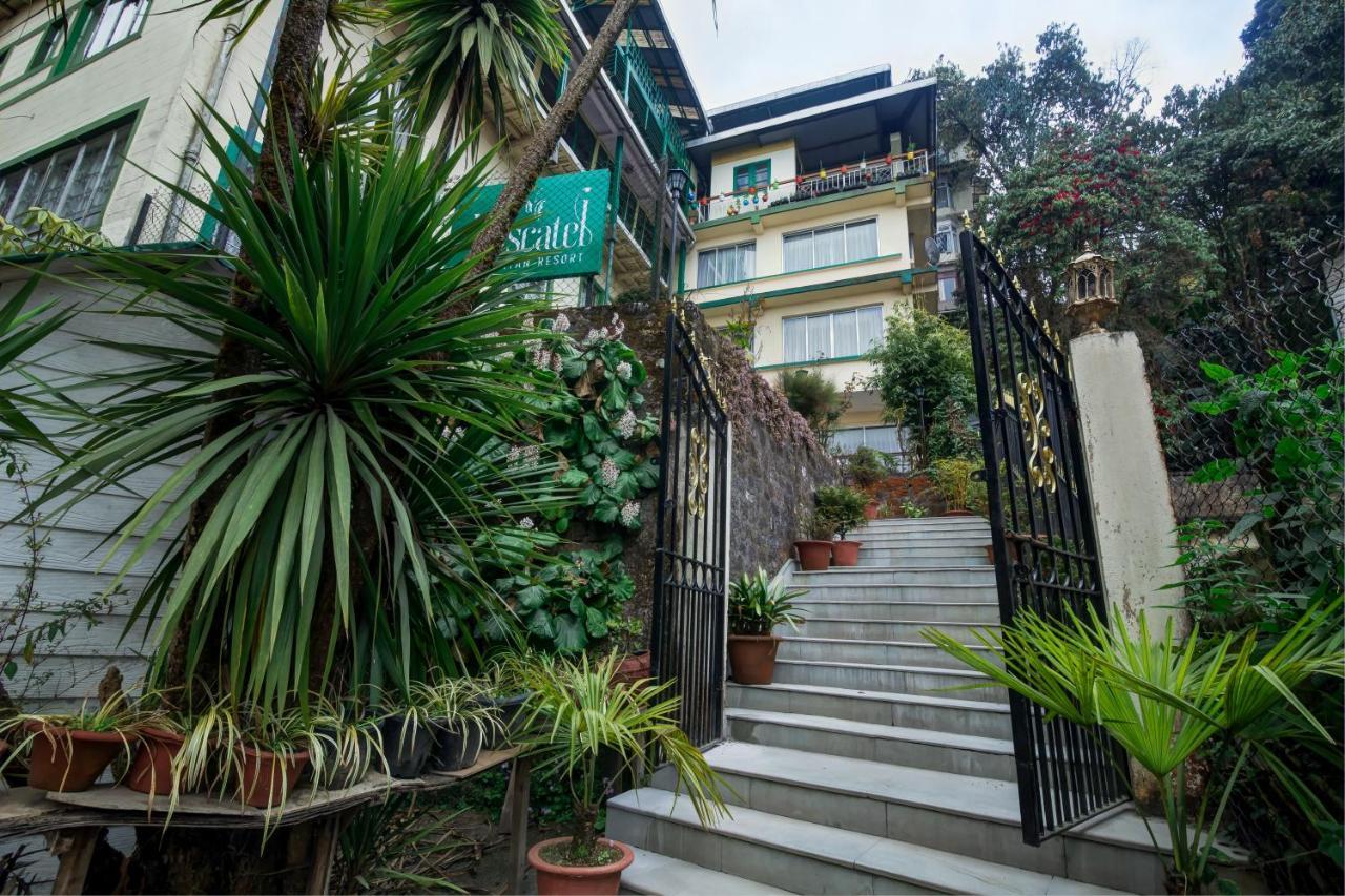 Muscatel Himalayan Resort - 400 Mts From Mall Road Darjeeling  Eksteriør bilde