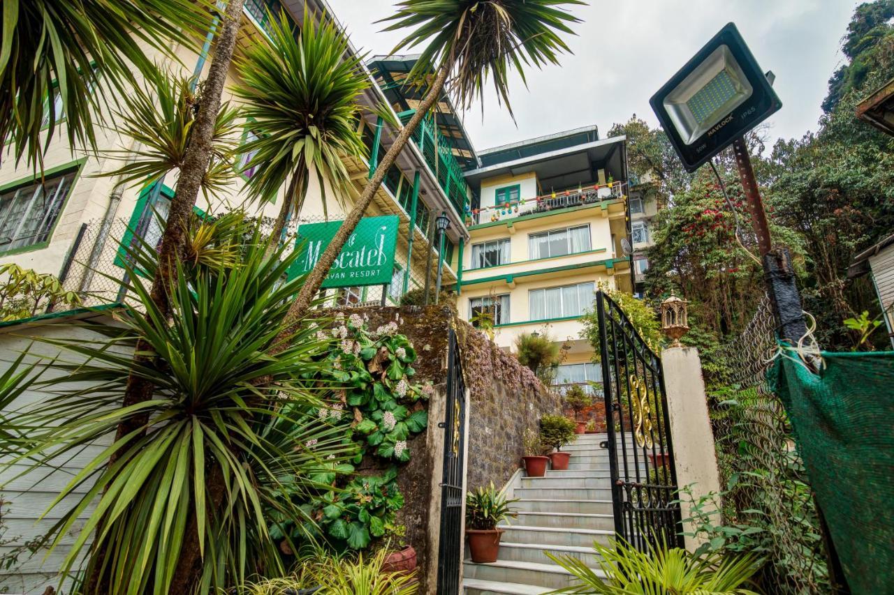 Muscatel Himalayan Resort - 400 Mts From Mall Road Darjeeling  Eksteriør bilde